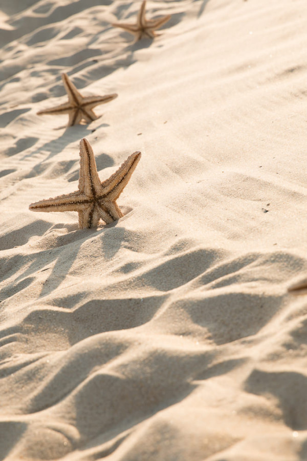 Kelly_Chris_Wedding_June_13_2015--503