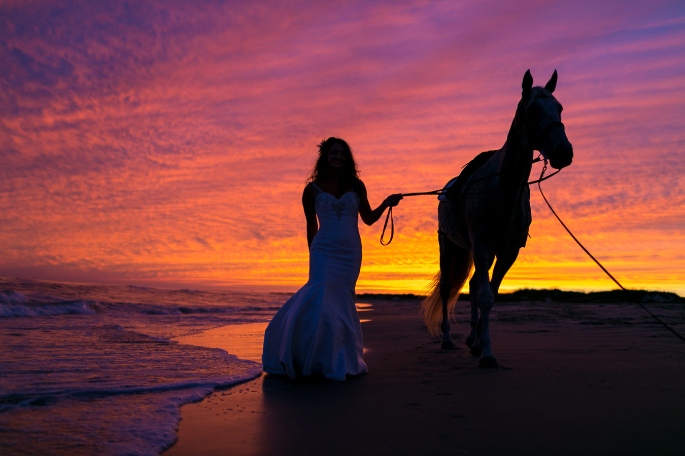 Molly_Ben_Frisco_Horses_Beach_Sept_2015-September 17, 20151058