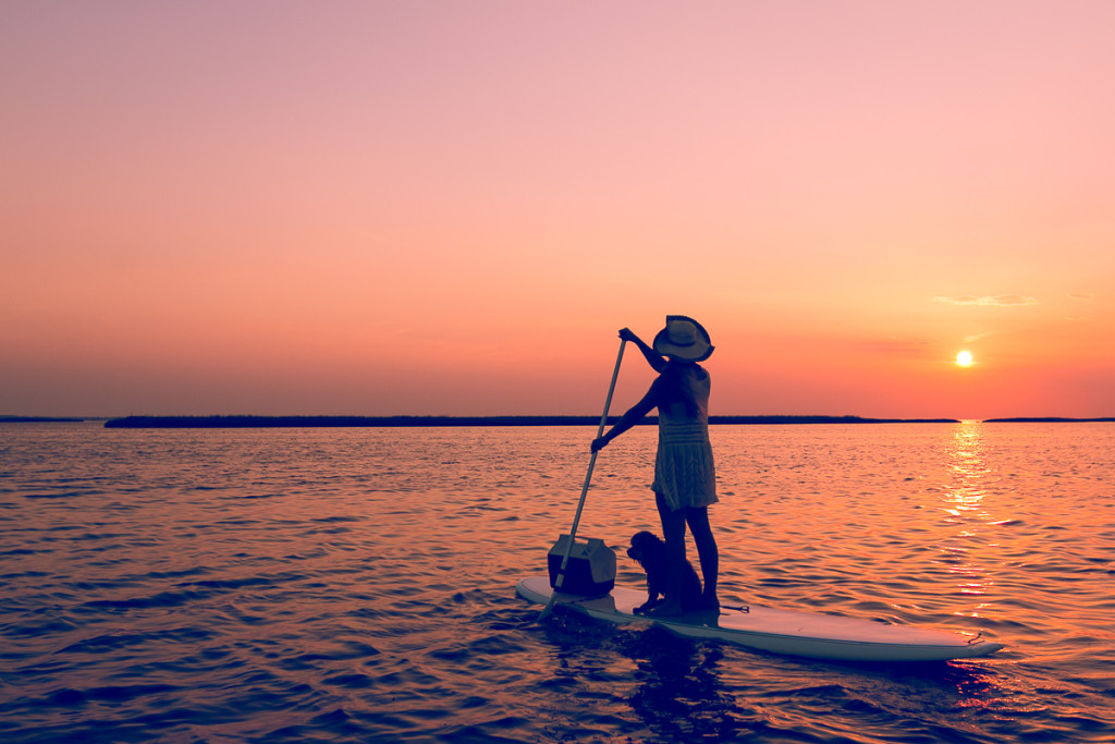 Paddle boarding cruise at sunset on Hatteras Island with Caroline Jarvis Photography