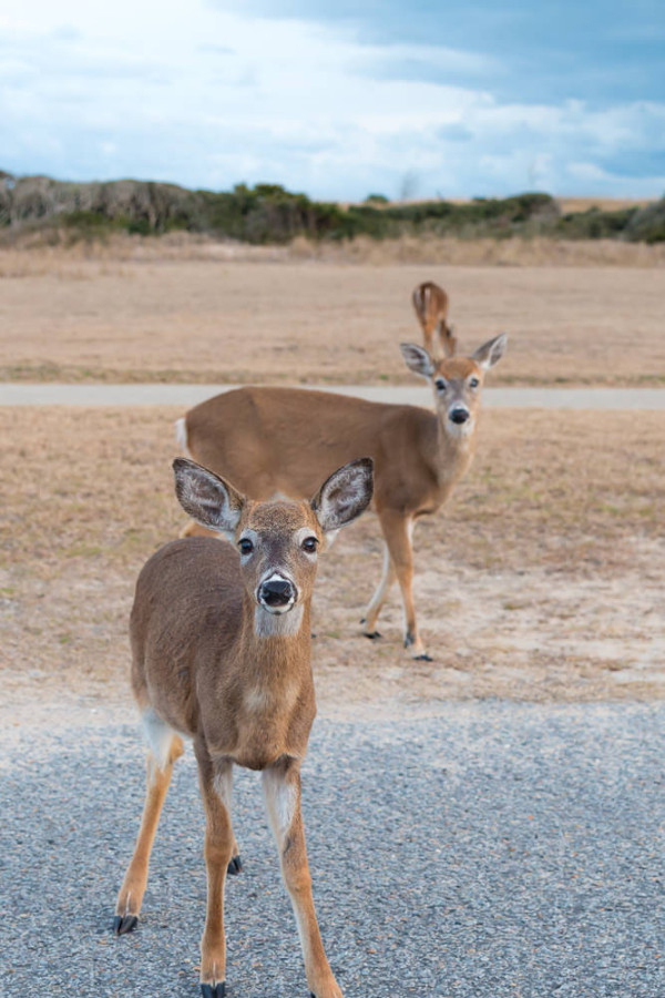 sunset_lighthouse_road_feb--212