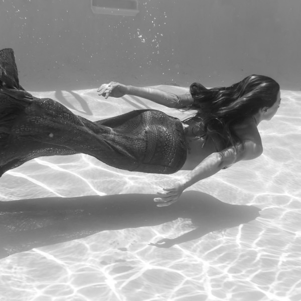 Underwater Photography - Under the Sea