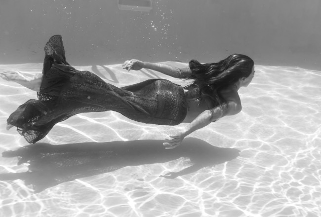 Underwater Photography - Under the Sea
