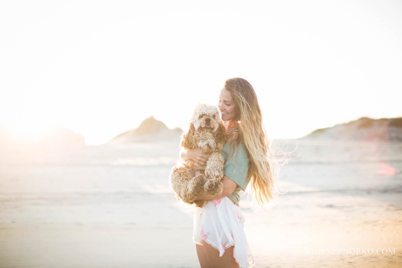 12182974_987136088011528_197460057046076733_o