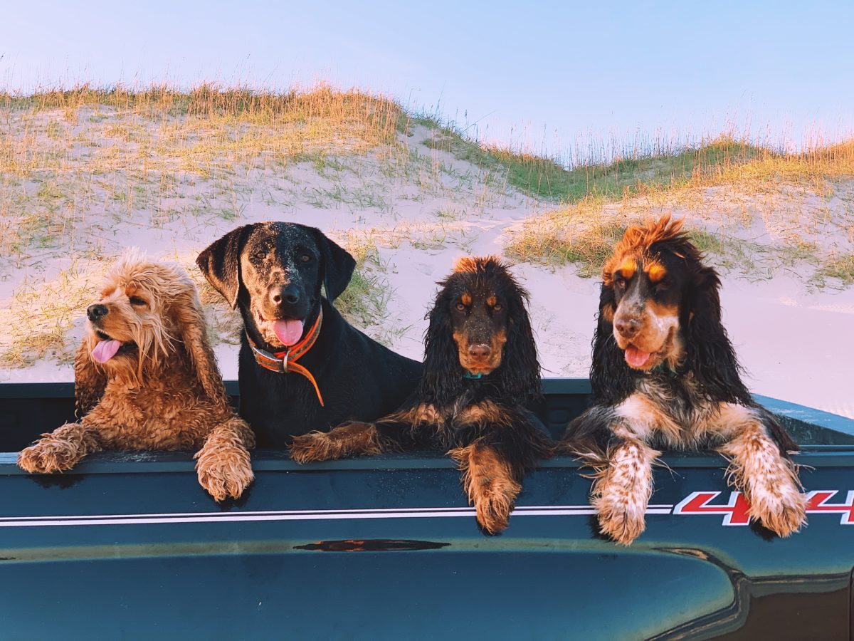 Processed with VSCO with k2 preset