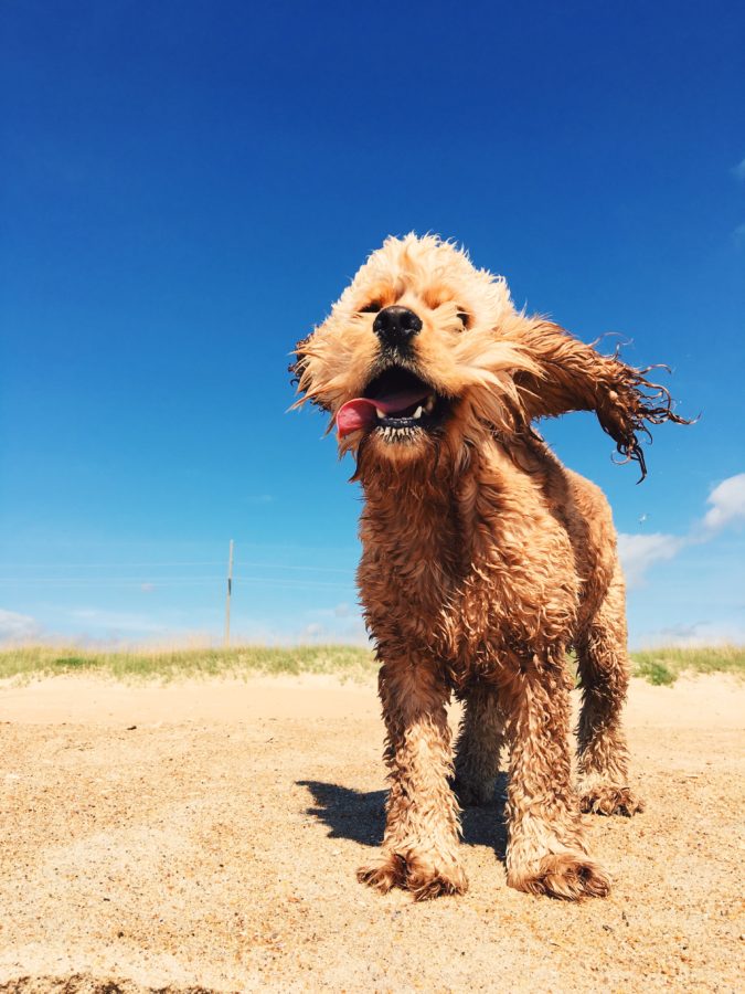 Processed with VSCO with c2 preset