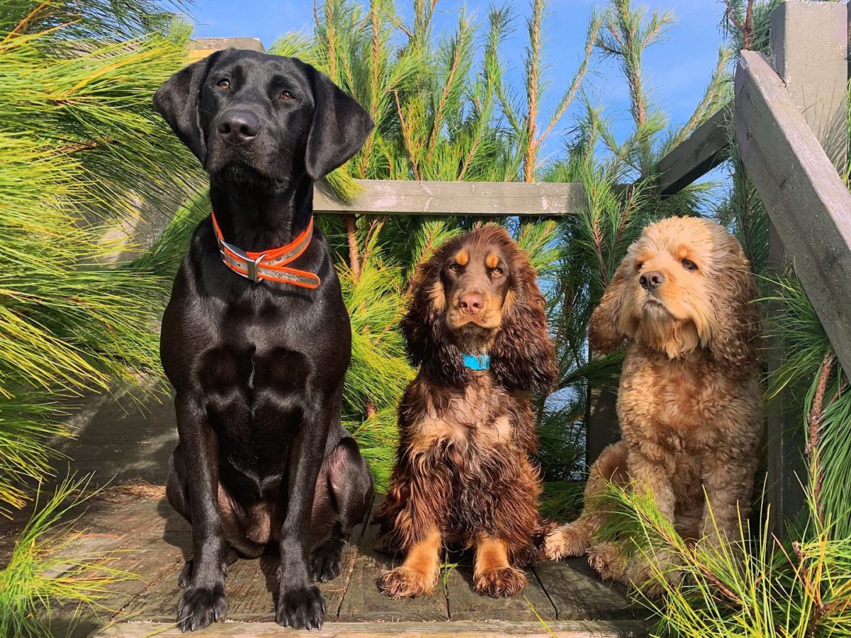 D3DE89A7-BA0F-41BB-B376-D33E23AAFB12