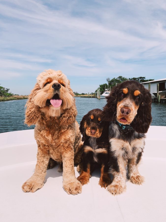 Processed with VSCO with c2 preset