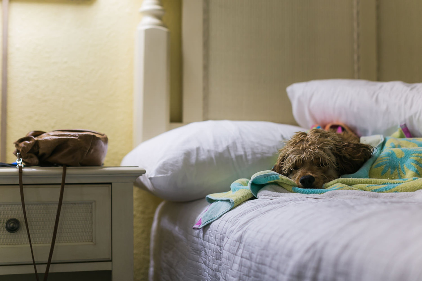 Family_Vacation_Myrtle_Beach_Sept_2015-September 09, 201514