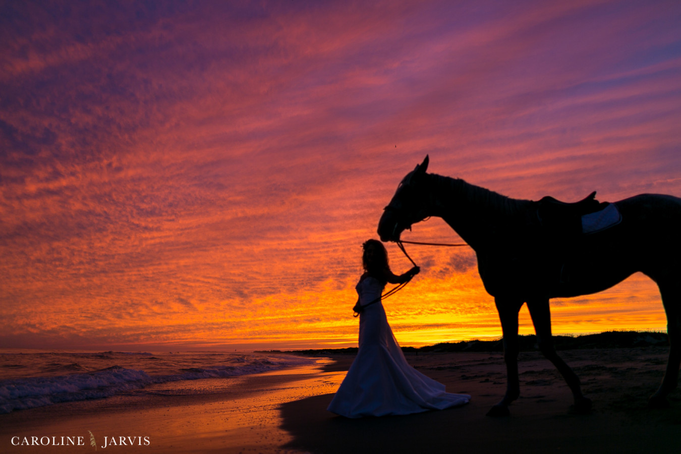 Molly_Ben_Frisco_Horses_Beach_Sept_2015-September 17, 20151048
