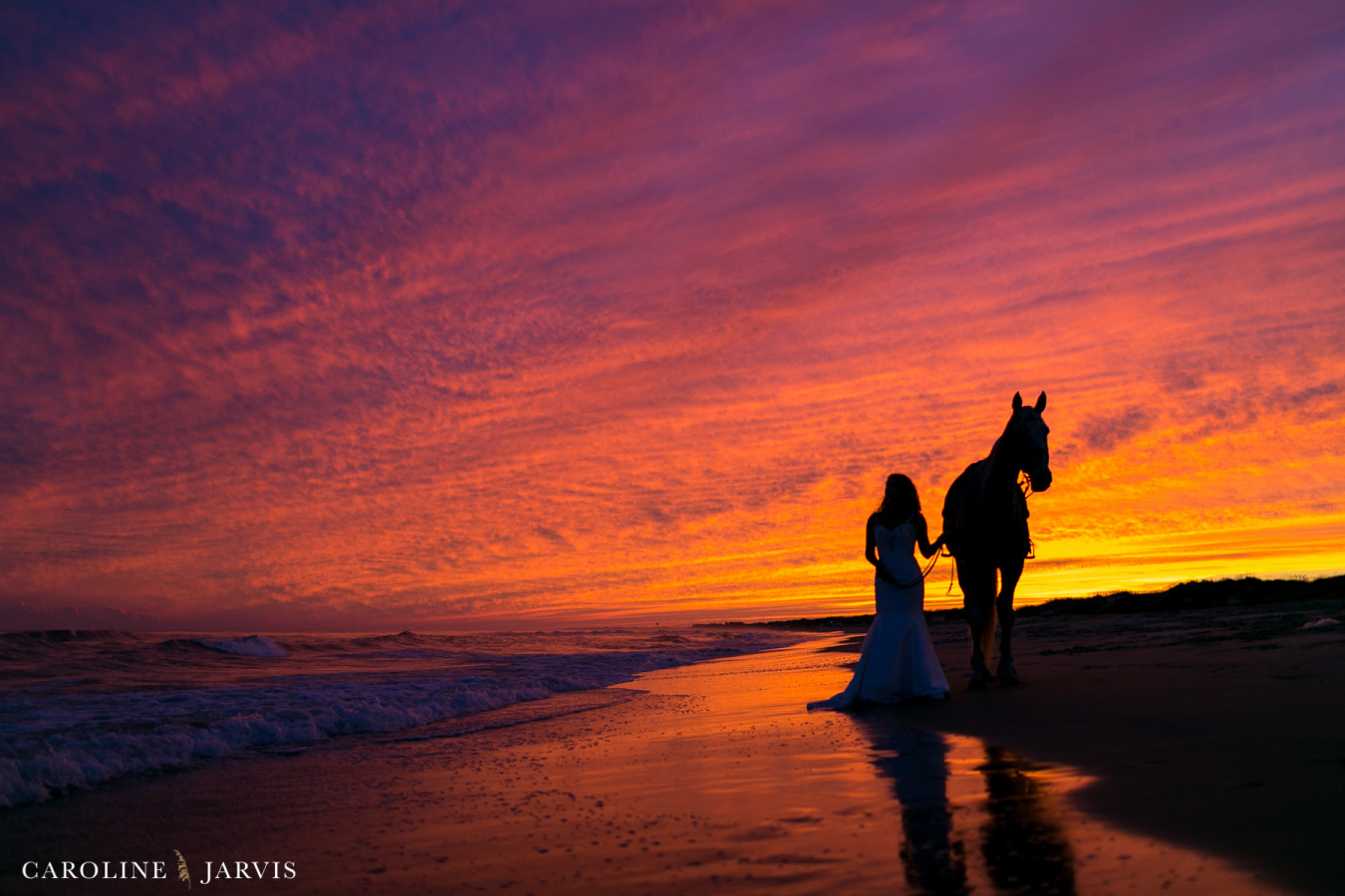 Molly_Ben_Frisco_Horses_Beach_Sept_2015-September 17, 20151083