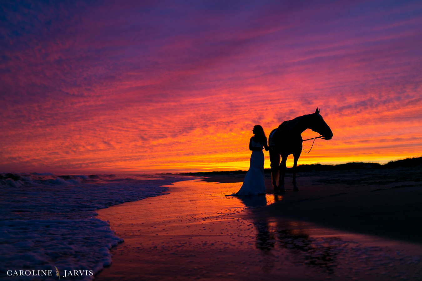 Molly_Ben_Frisco_Horses_Beach_Sept_2015-September 17, 20151125
