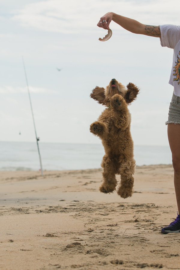 thepoint_march11th--148