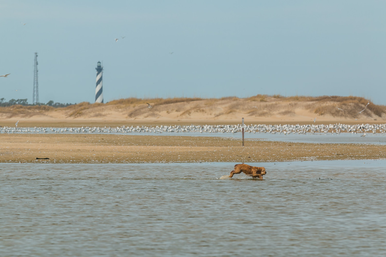 thepoint_march11th--327