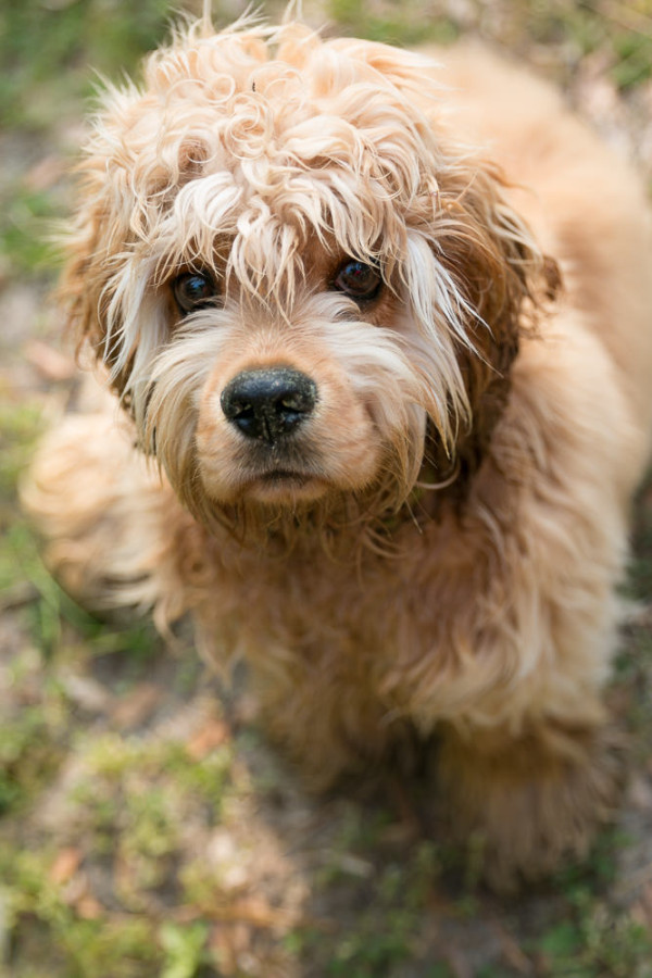 Thrones_April_8--125