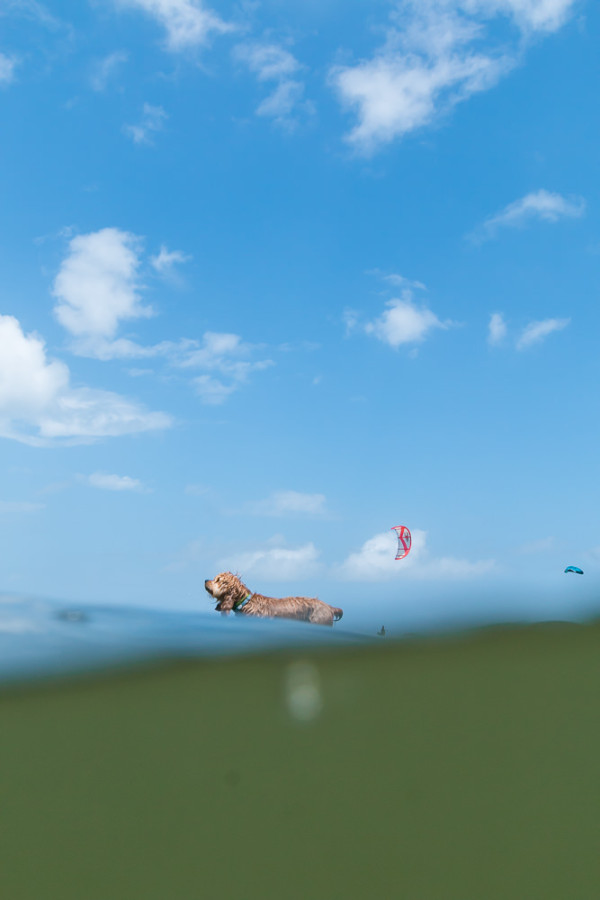 Underwater_Photography_Ocean_Sound_Buxton_Wedding_Portraits_Photographer_May_9_2015--599