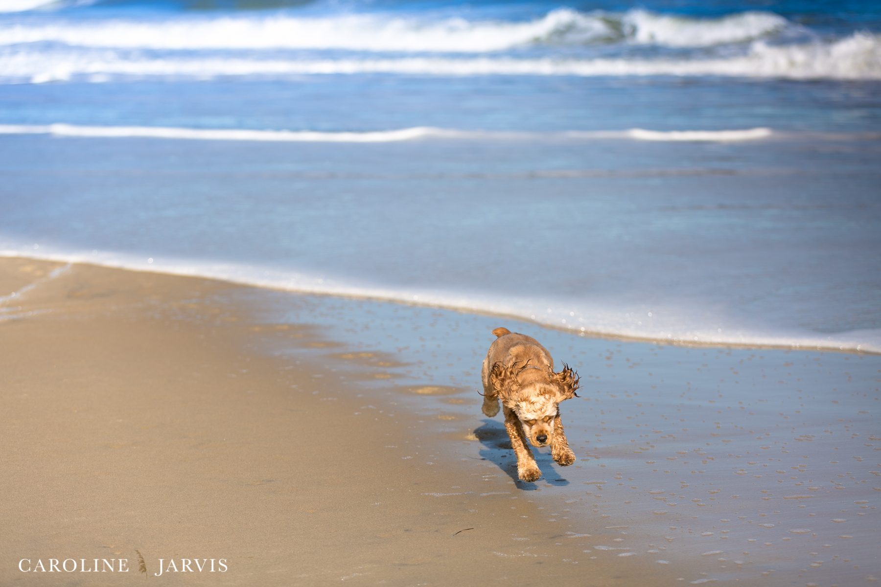 New Year, New Things - Beach Adventures by Caroline Jarvis Photography