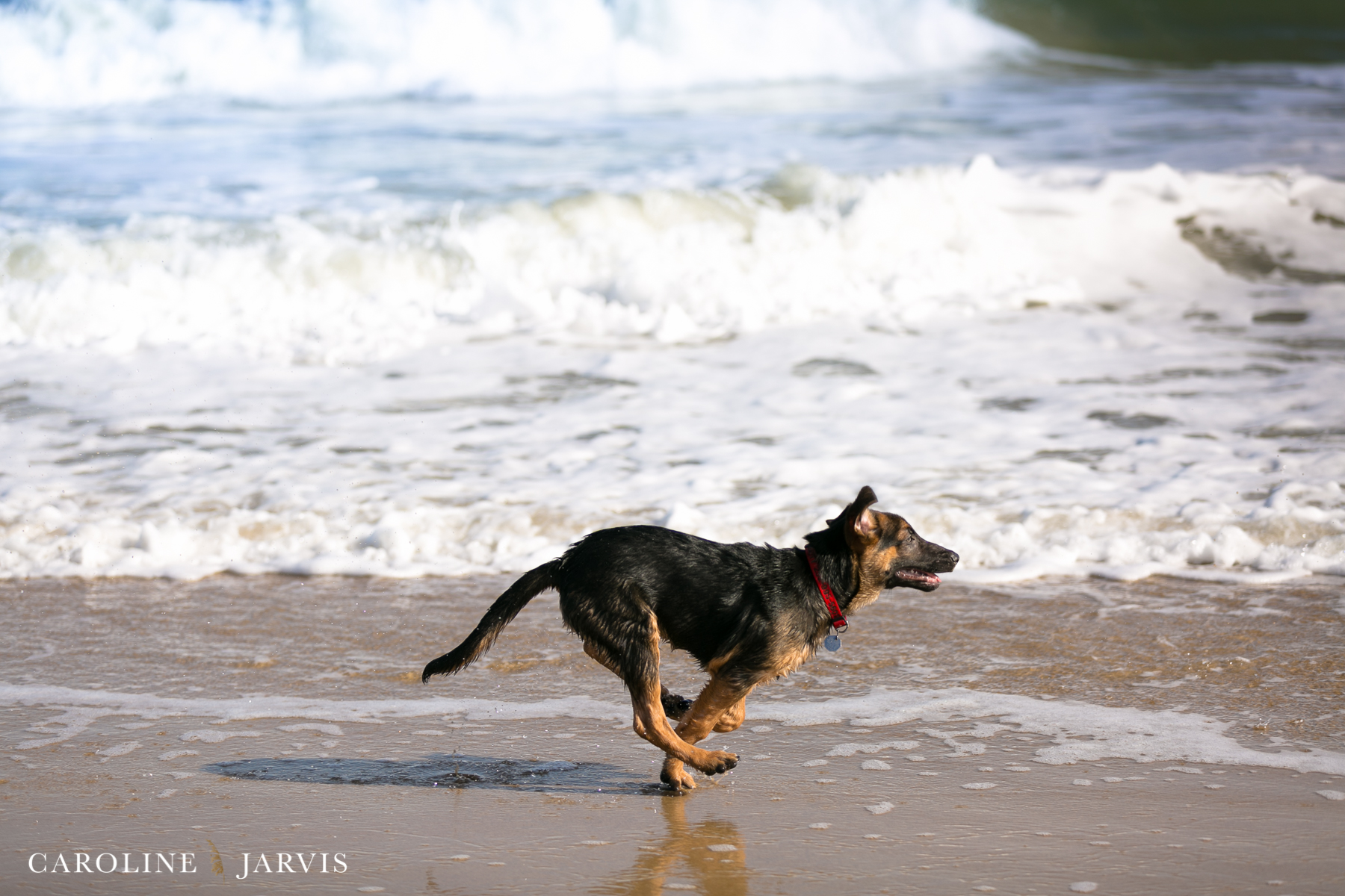 New Year, New Things - Beach Adventures by Caroline Jarvis Photography