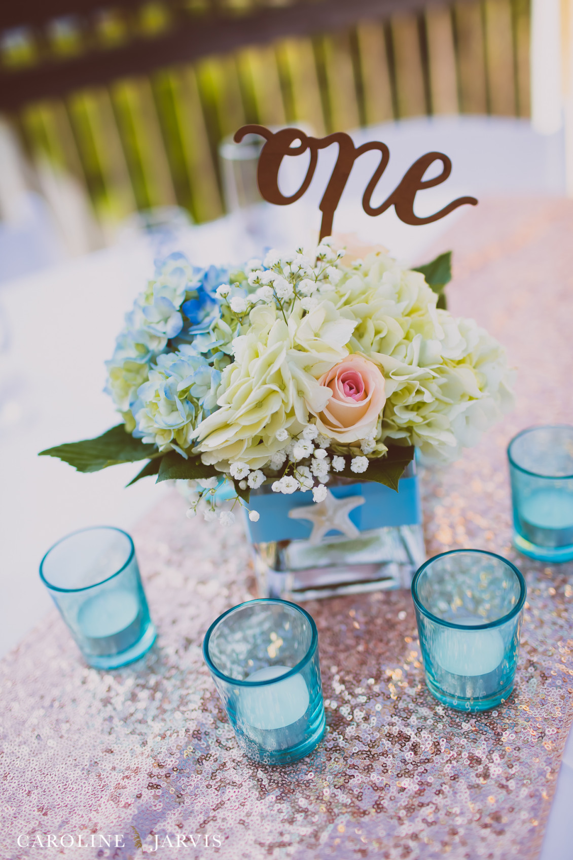 Danielle_Plasse&Michael_Caballero-July 09, 20161273