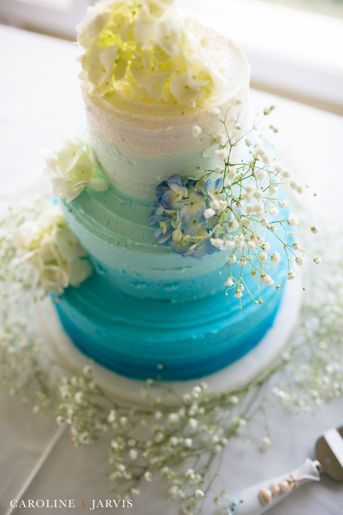 Danielle_Plasse&Michael_Caballero-July 09, 20161287