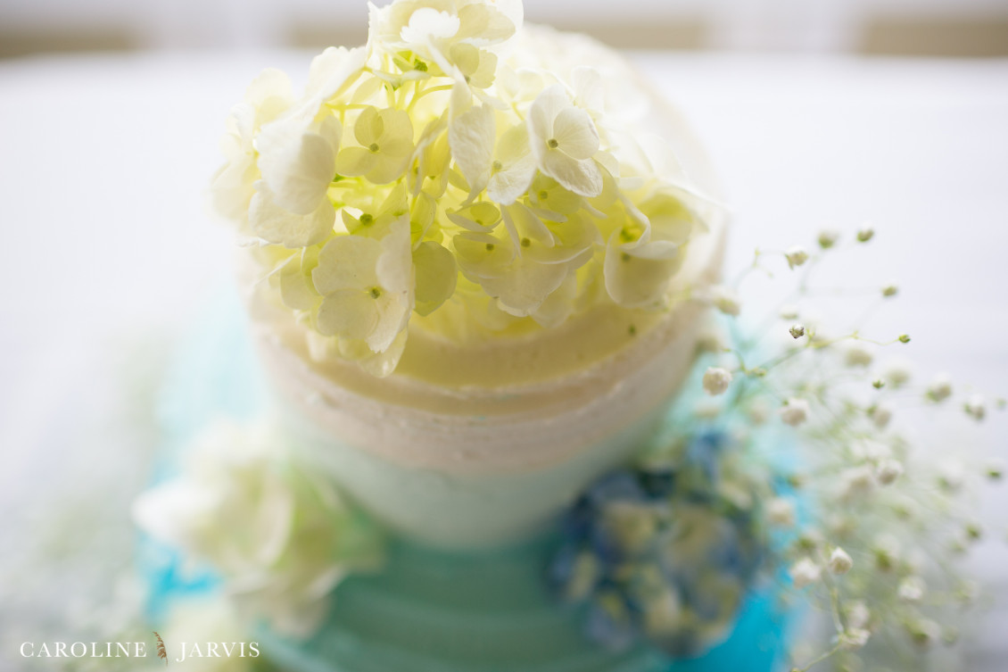 Danielle_Plasse&Michael_Caballero-July 09, 20161293