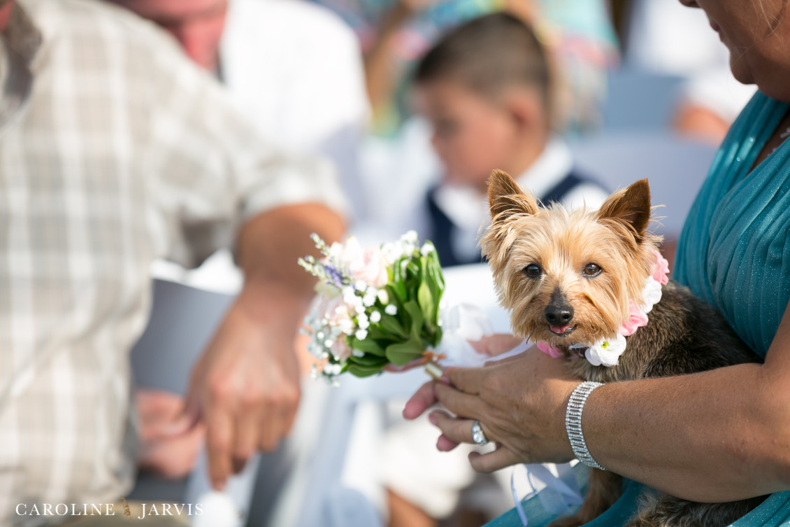 Danielle_Plasse&Michael_Caballero-July 09, 20161356