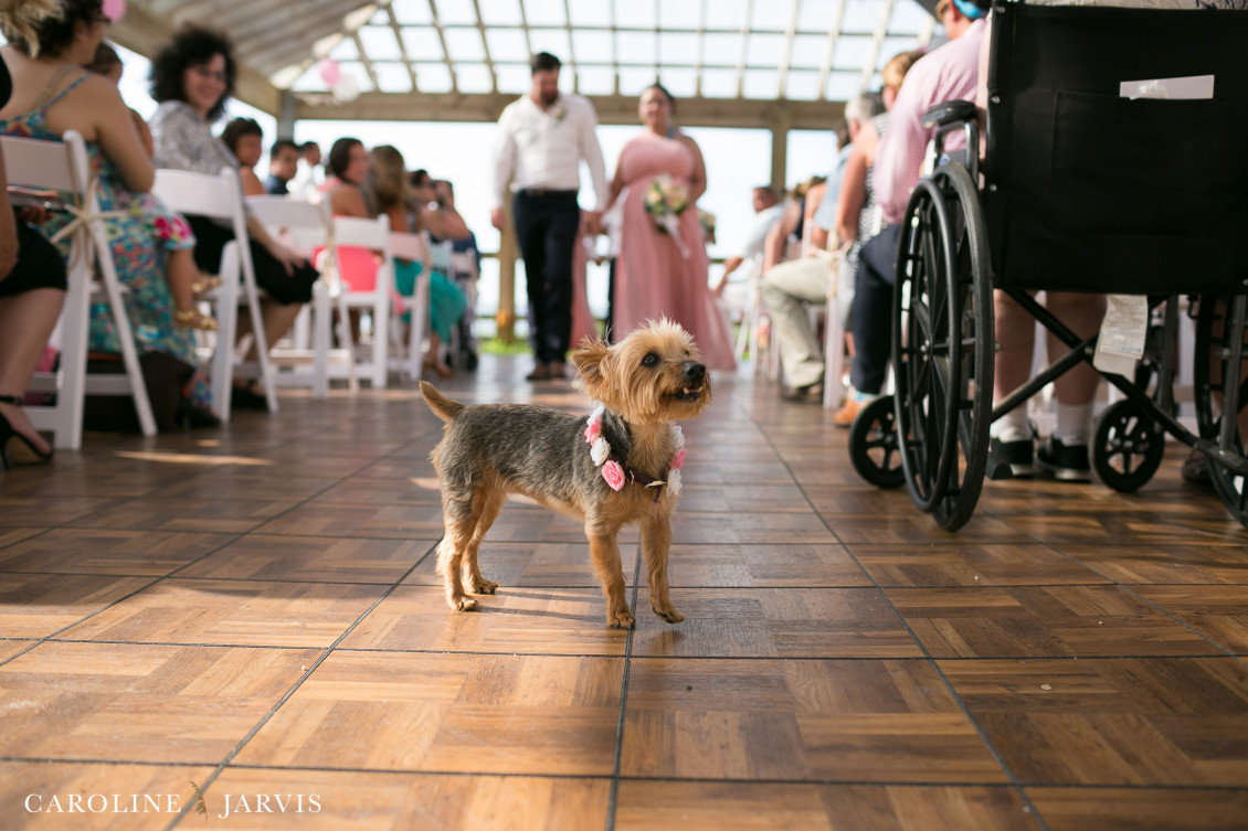 Danielle_Plasse&Michael_Caballero-July 09, 20161665