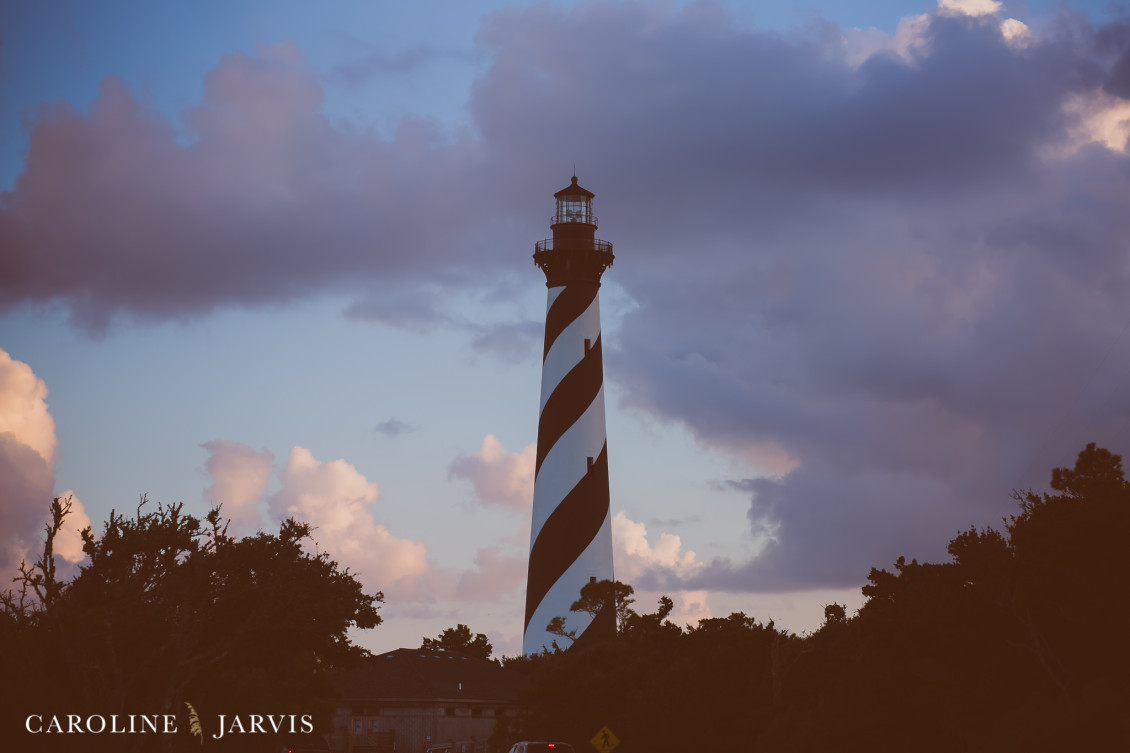 Sea_turtles-August 11, 201601