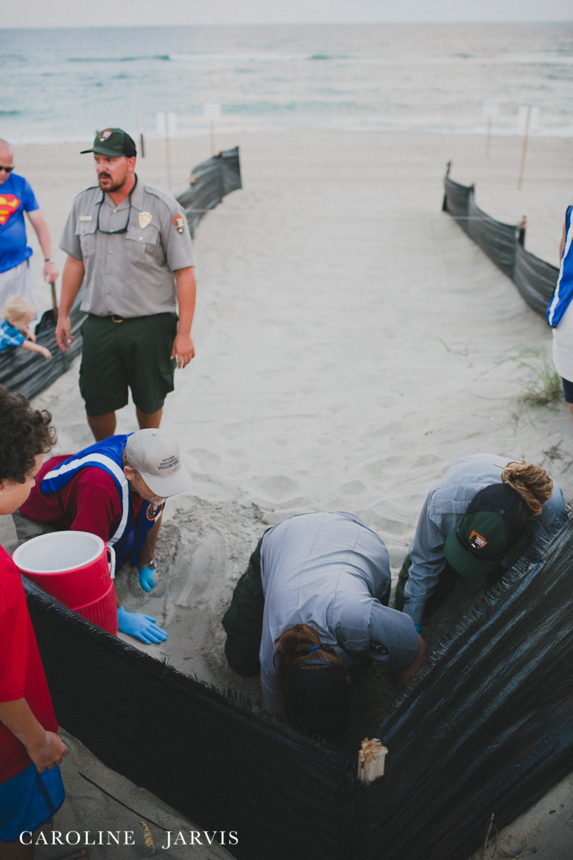 Sea_turtles-August 11, 201646