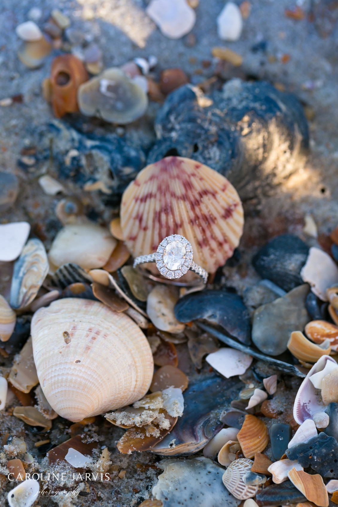 Surprise Proposal in Ocracoke by Caroline Jarvis Photography - June 2016-June 27, 2016778