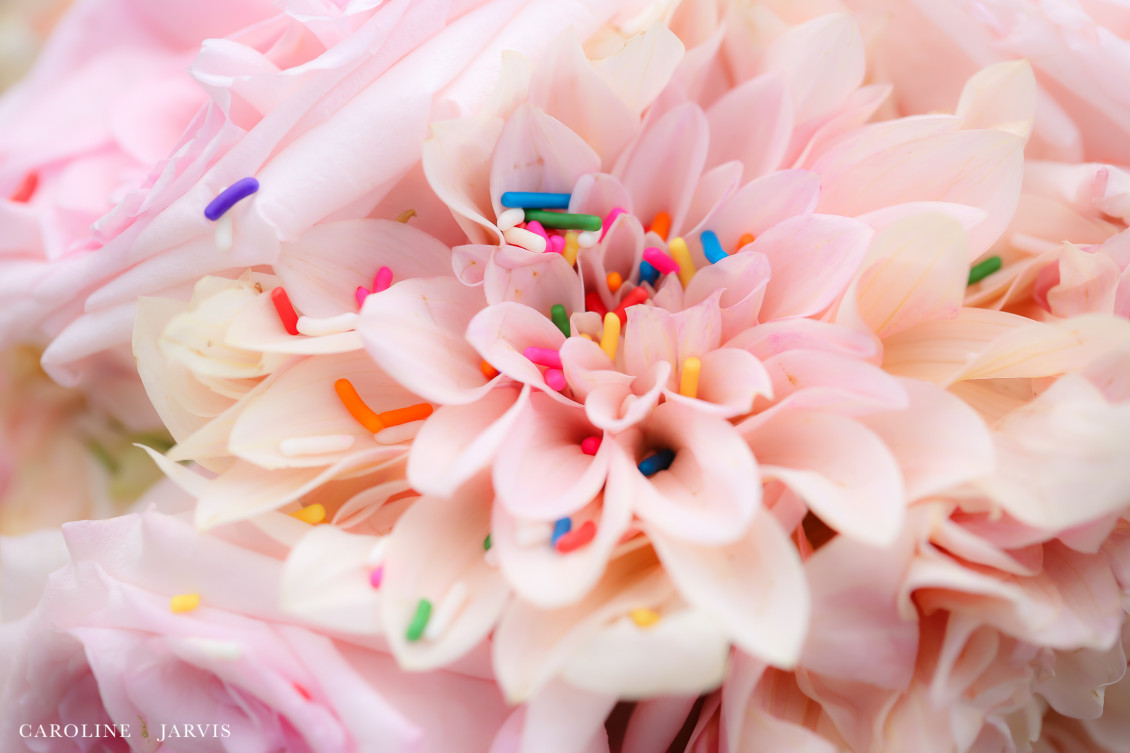 The Pine Island Lodge Wedding