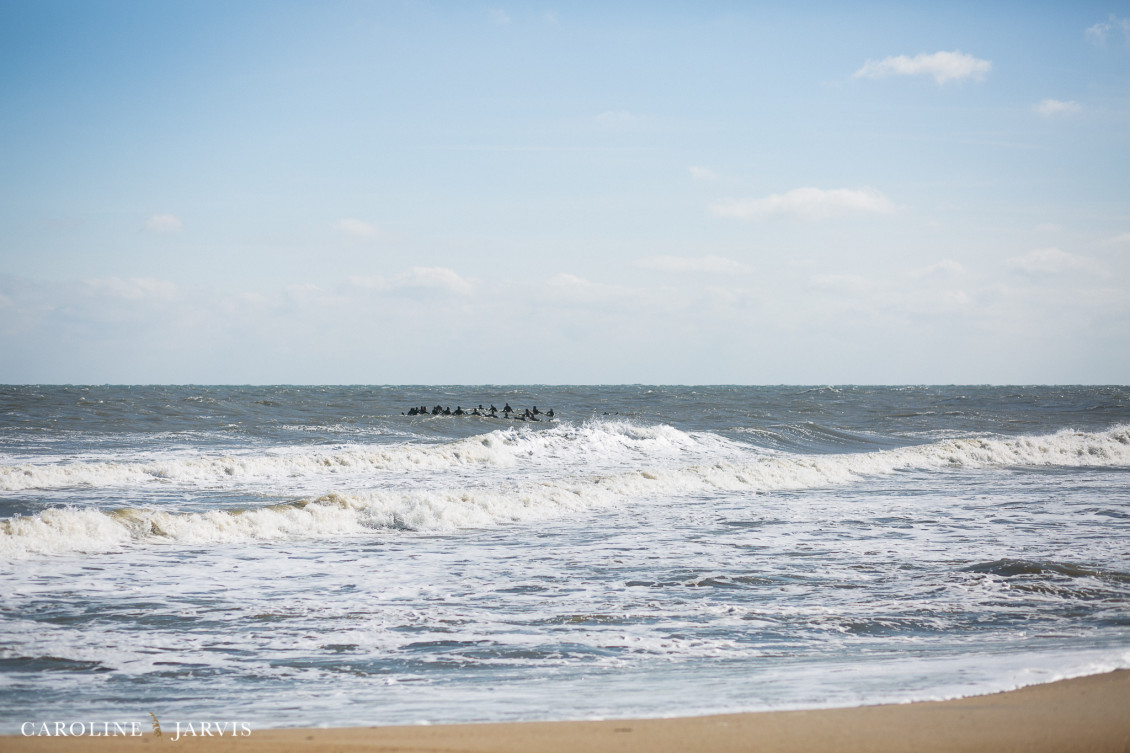 Jordans Paddle Out by Caroline Jarvis Photography-February 04, 2017150