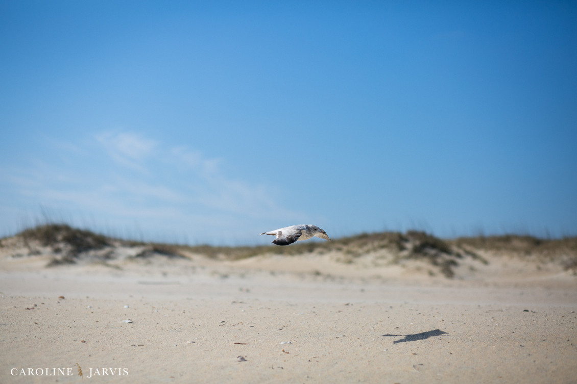 Jordans Paddle Out by Caroline Jarvis Photography-February 04, 2017216