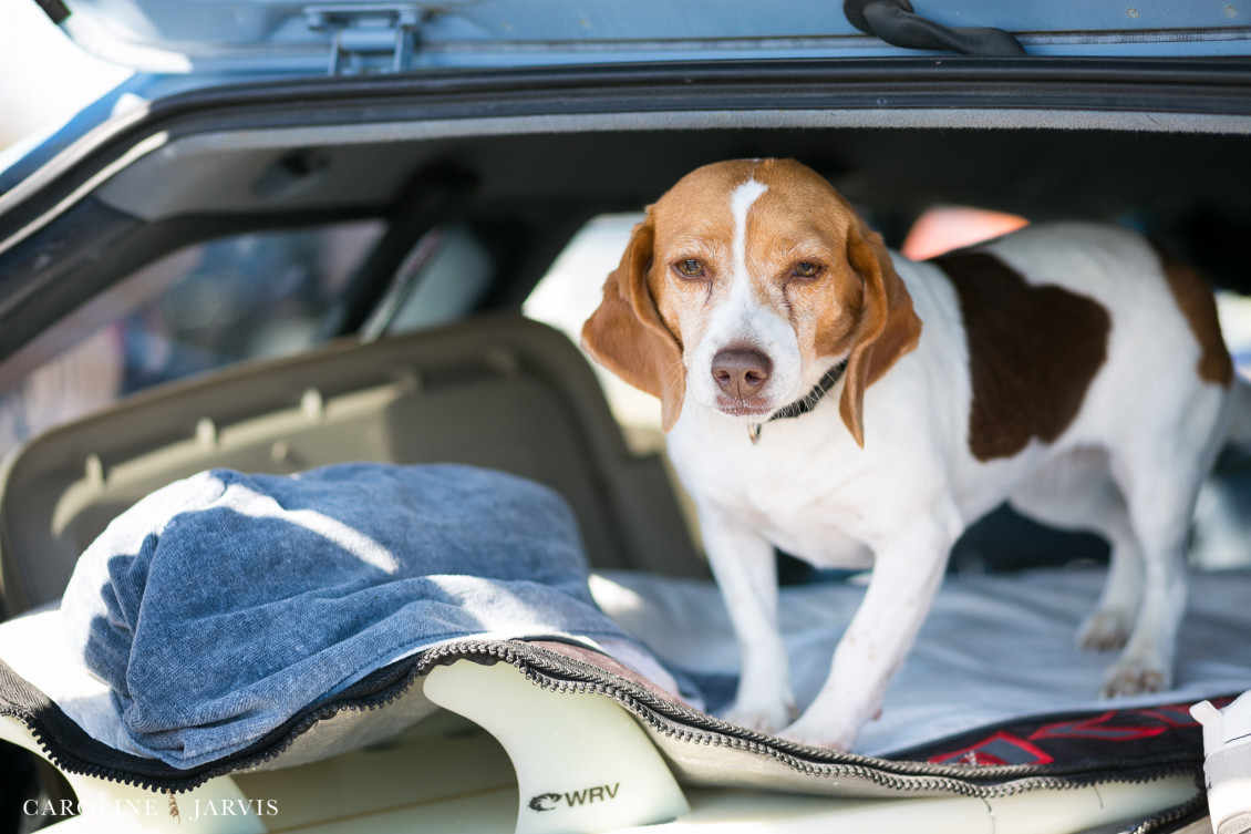 Jordans Paddle Out by Caroline Jarvis Photography-February 04, 201728