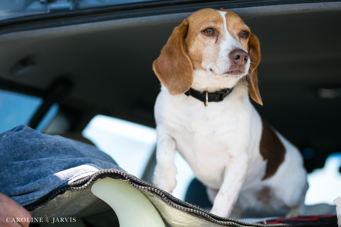 Jordans Paddle Out by Caroline Jarvis Photography-February 04, 201730