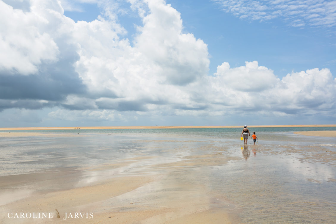 Cape Point Islands by Caroline Jarvis Photography -June 04, 2017109