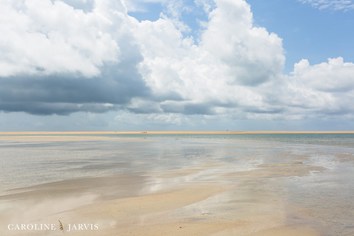 Cape Point Islands by Caroline Jarvis Photography -June 04, 2017116