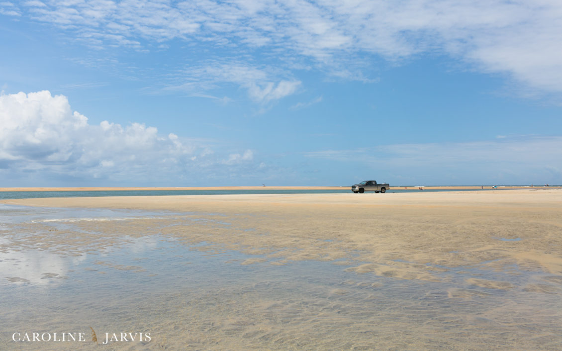 Cape Point Islands by Caroline Jarvis Photography -June 04, 2017121