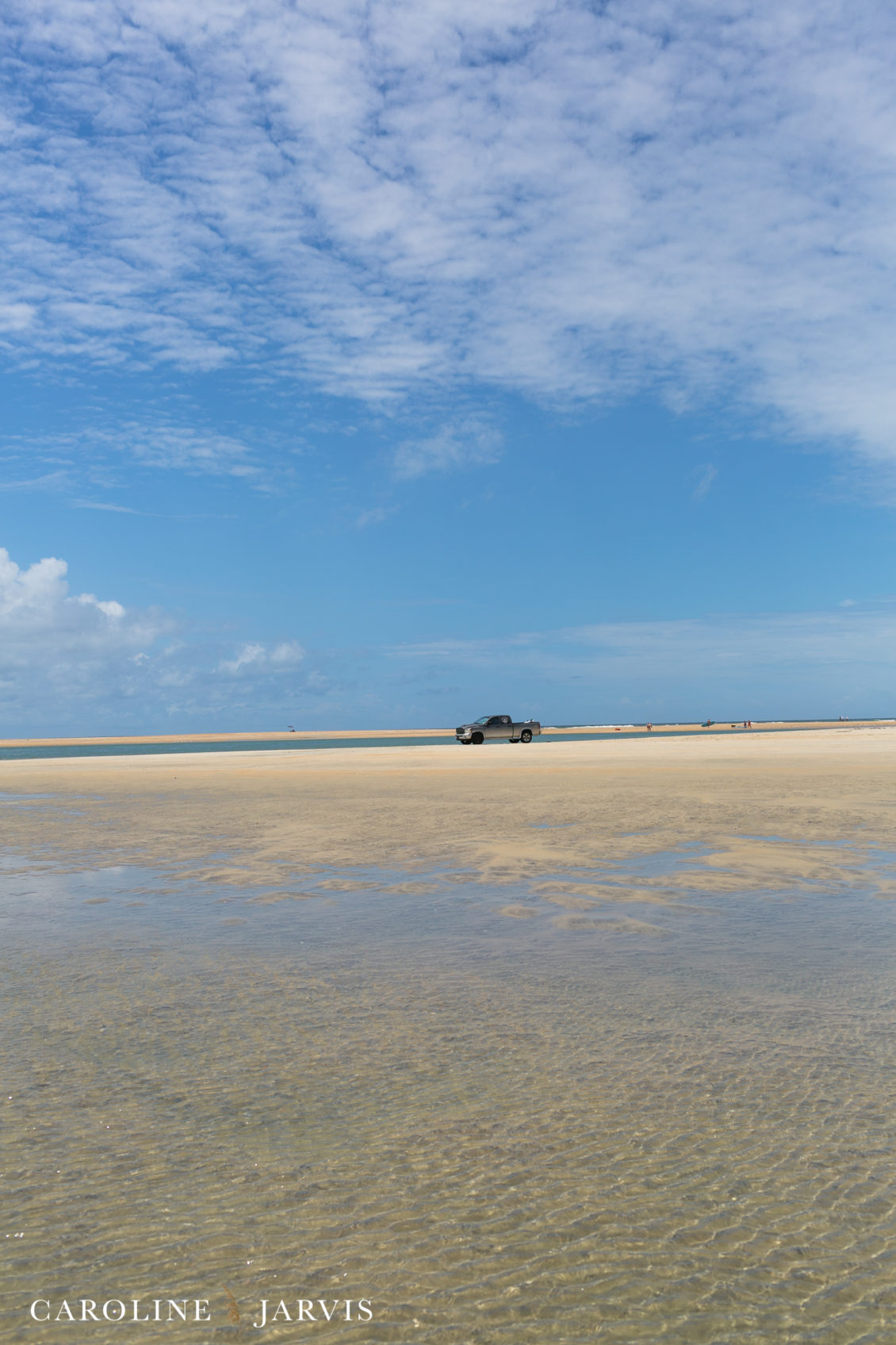 Cape Point Islands by Caroline Jarvis Photography -June 04, 2017167
