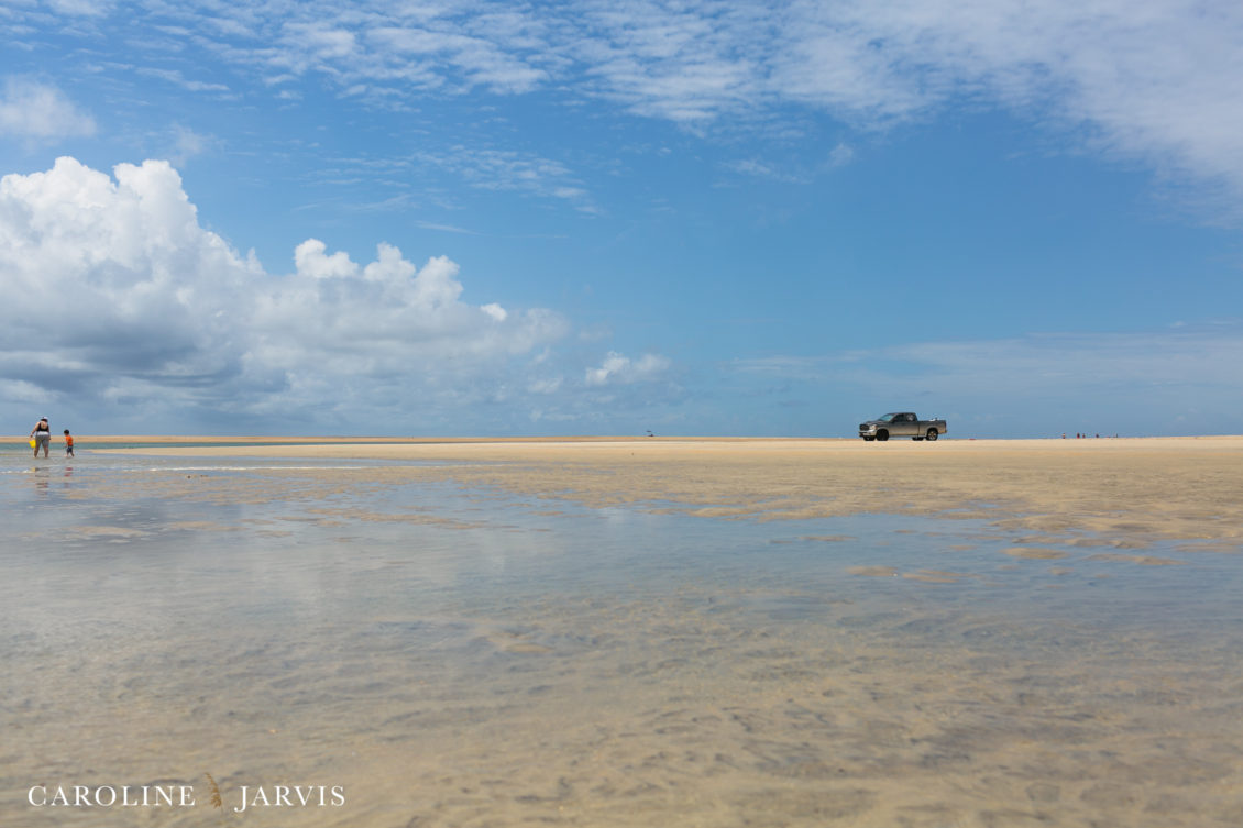 Cape Point Islands by Caroline Jarvis Photography -June 04, 2017187