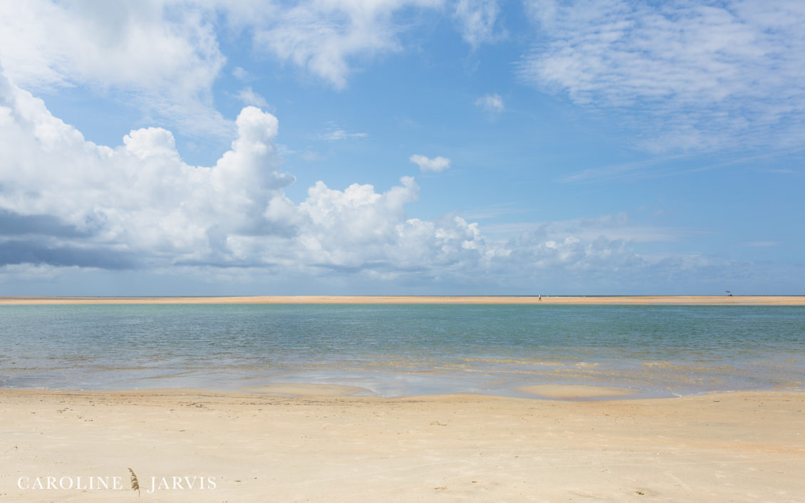 Cape Point Islands by Caroline Jarvis Photography -June 04, 201752