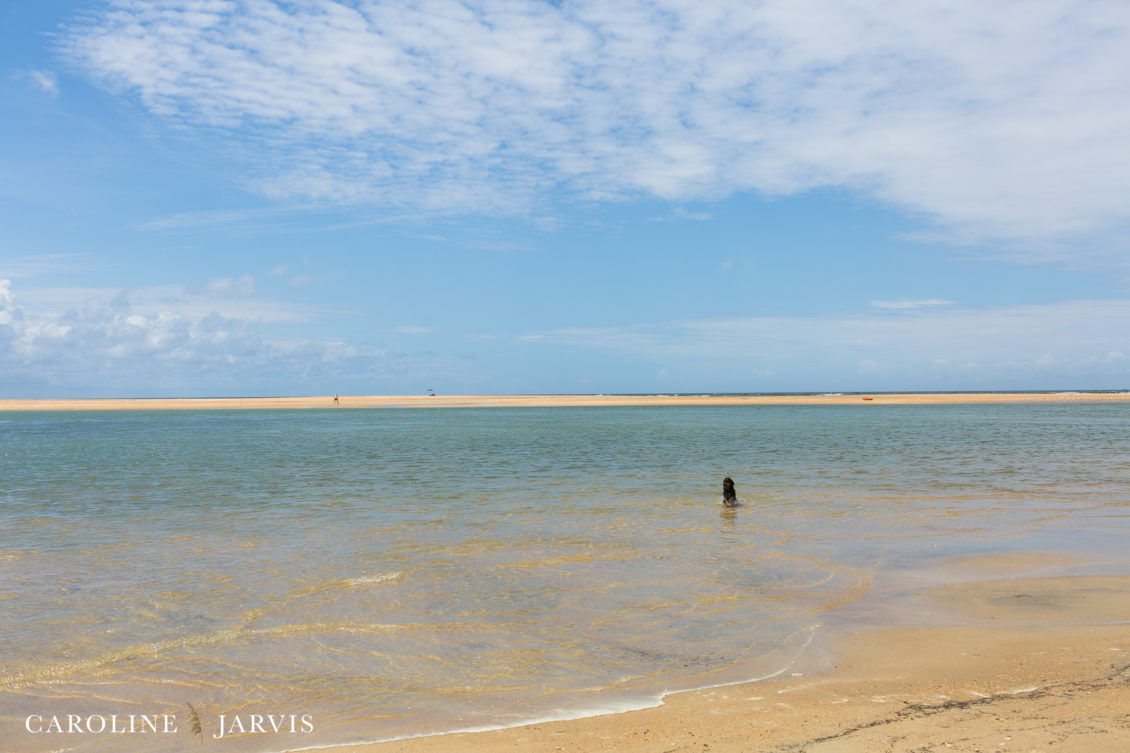 Cape Point Islands by Caroline Jarvis Photography -June 04, 201761
