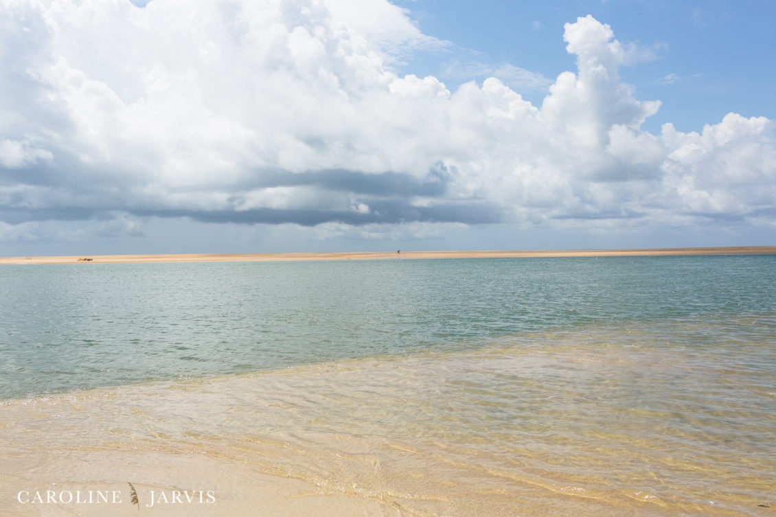 Cape Point Islands by Caroline Jarvis Photography -June 04, 201780