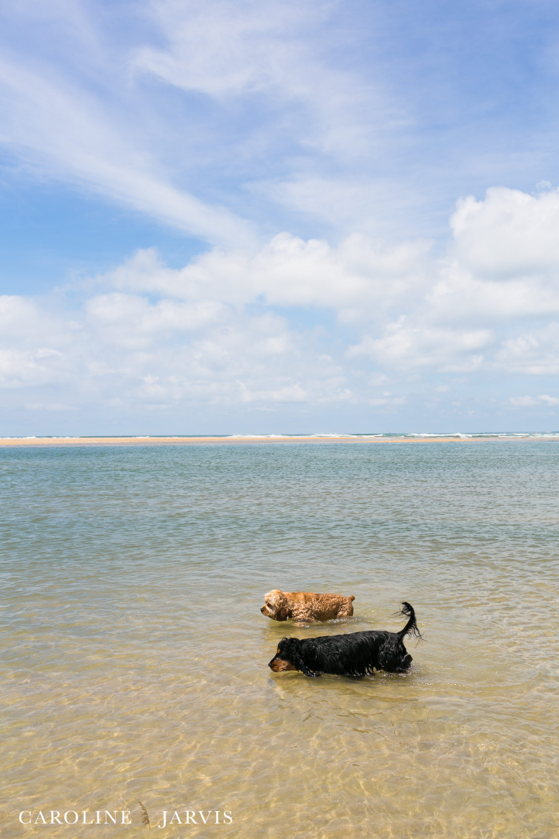 Cape_Point_Surfing_6.6.17-June 05, 2017119