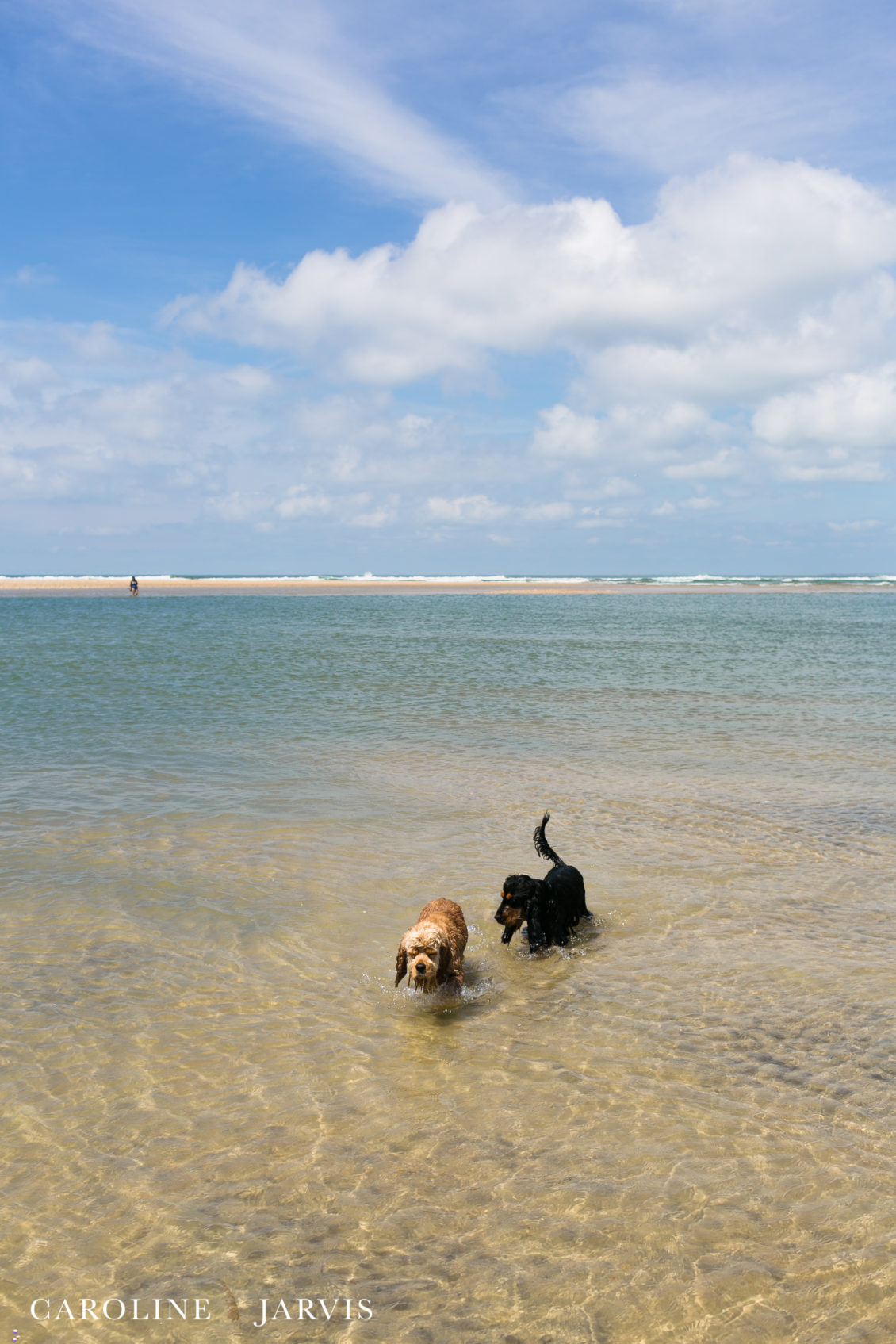 Cape_Point_Surfing_6.6.17-June 05, 2017194