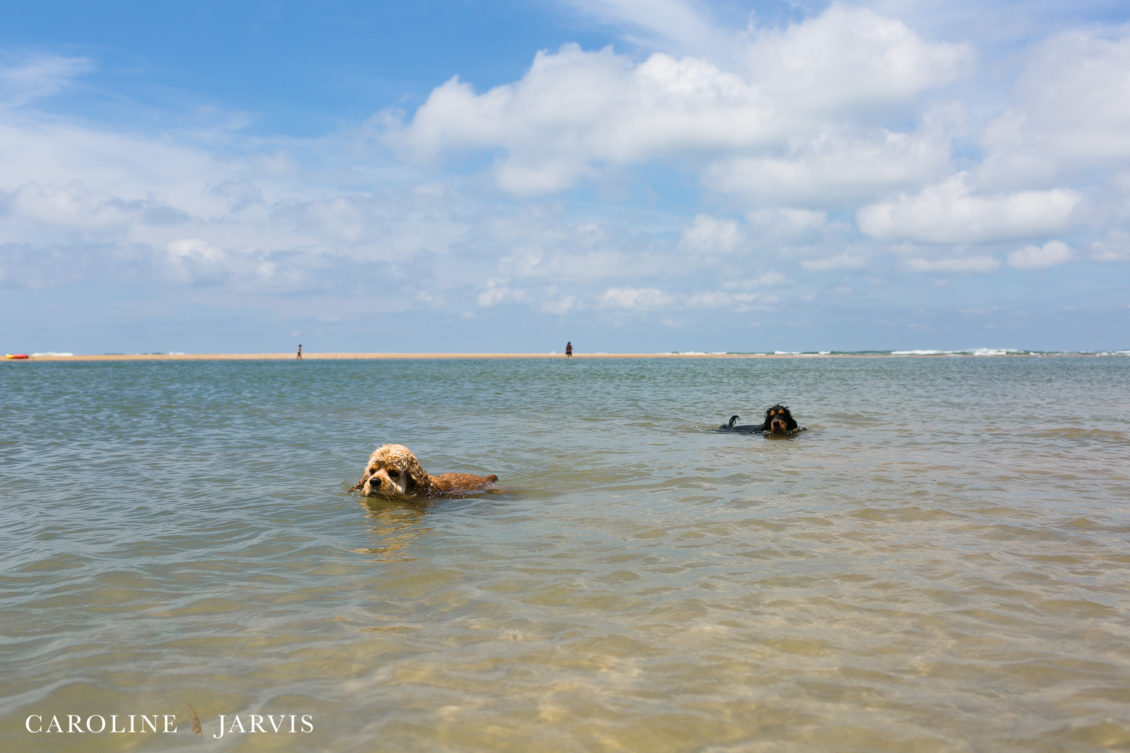 Cape_Point_Surfing_6.6.17-June 05, 2017203