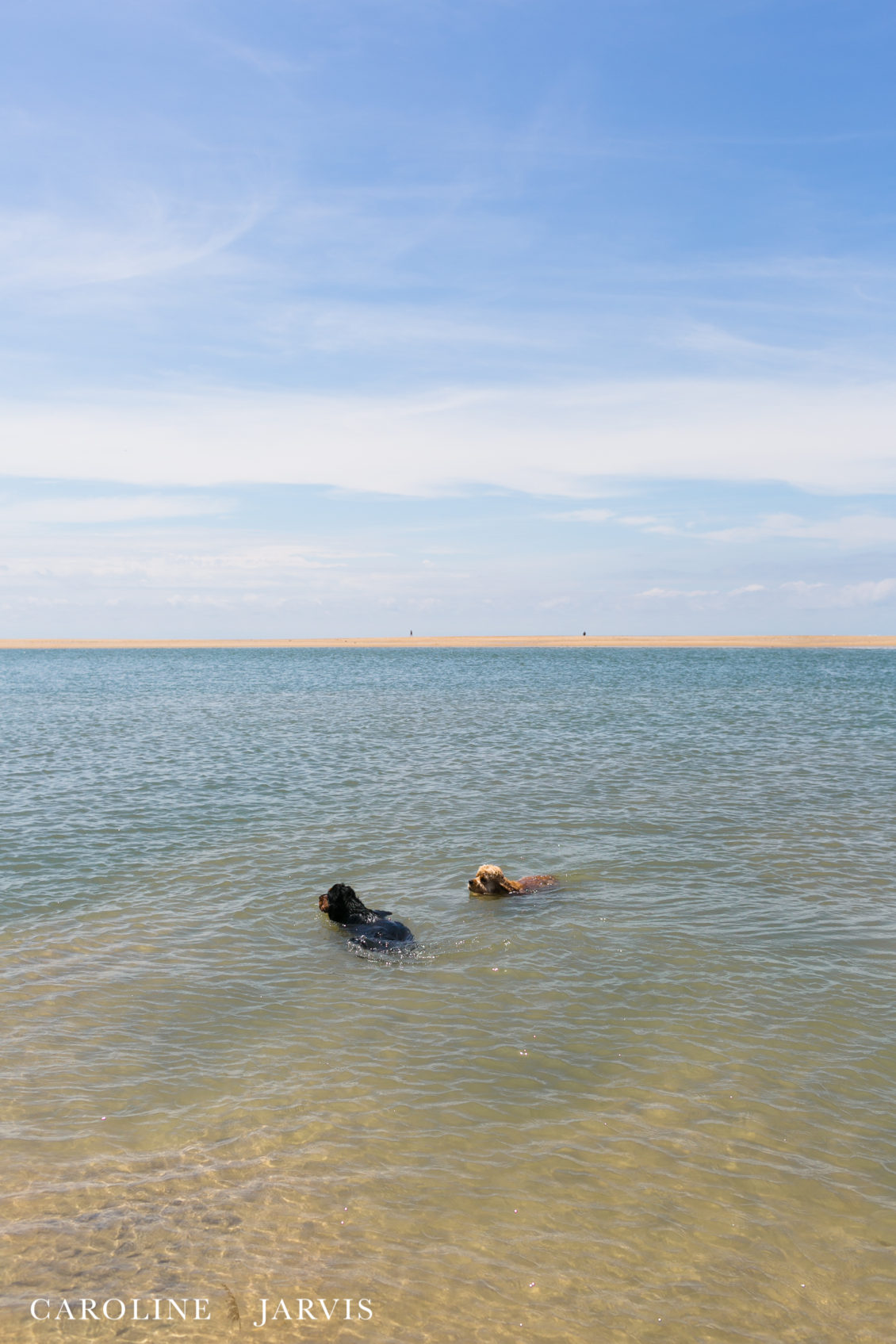 Cape_Point_Surfing_6.6.17-June 05, 2017216
