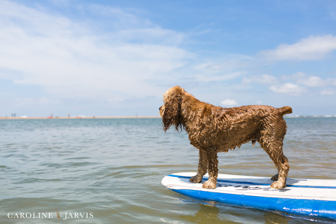 Cape_Point_Surfing_6.6.17-June 05, 2017271
