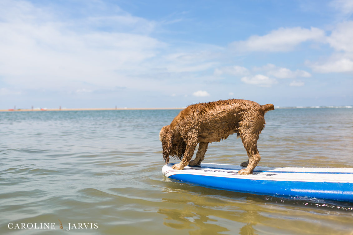 Cape_Point_Surfing_6.6.17-June 05, 2017276