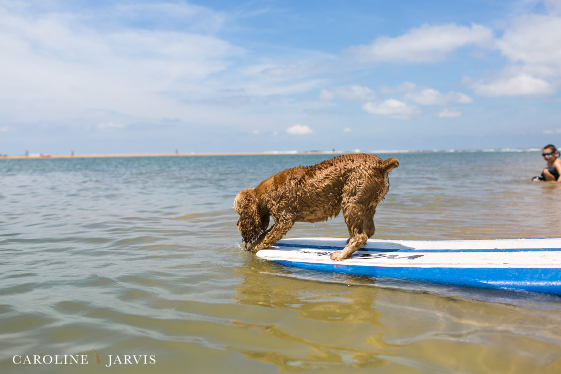 Cape_Point_Surfing_6.6.17-June 05, 2017280