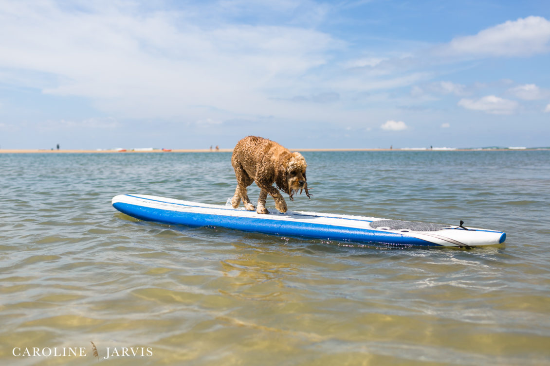 Cape_Point_Surfing_6.6.17-June 05, 2017299
